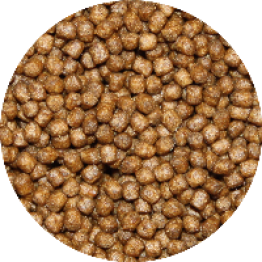 shop4409500.pictures.Vivani Premium Grower 3mm 2004